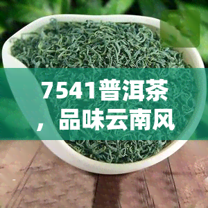 7541普洱茶，品味云南风情：尝试7541普洱茶的醇厚口感