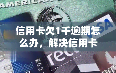 信用卡欠1千逾期怎么办，解决信用卡欠款问题：逾期1千如何处理？