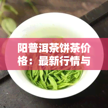 阳普洱茶饼茶价格：最新行情与查询指南