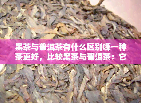 黑茶与普洱茶有什么区别哪一种茶更好，比较黑茶与普洱茶：它们的区别和哪种更好？