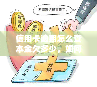 信用卡逾期怎么查本金欠多少，如何查询信用卡逾期后的本金欠款金额？