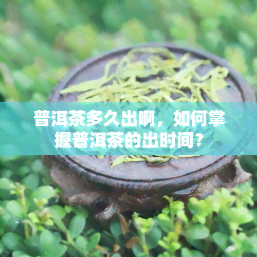 普洱茶多久出啊，如何掌握普洱茶的出时间？