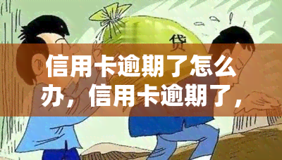 信用卡逾期了怎么办，信用卡逾期了，应该怎么办？