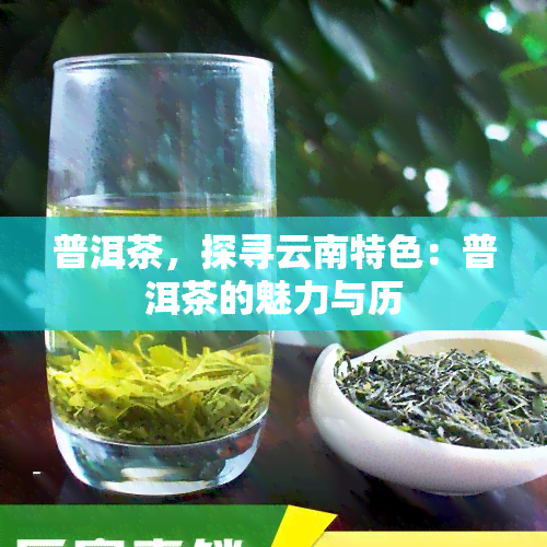 普洱茶，探寻云南特色：普洱茶的魅力与历