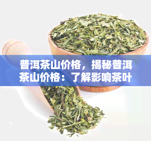 普洱茶山价格，揭秘普洱茶山价格：了解影响茶叶价格的因素