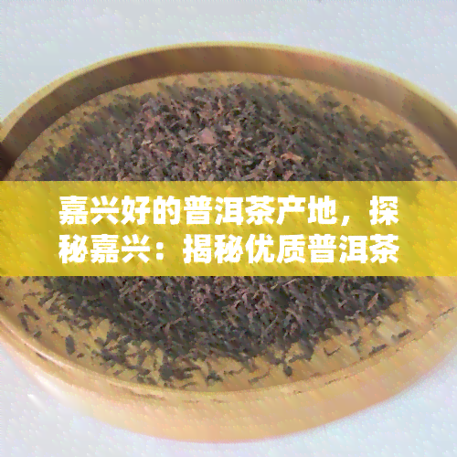 嘉兴好的普洱茶产地，探秘嘉兴：揭秘优质普洱茶的产地与制作工艺