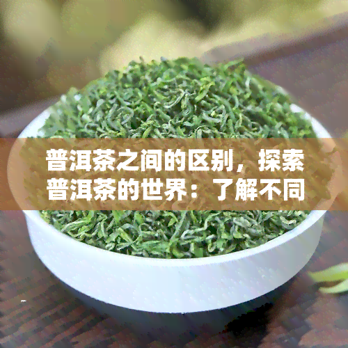 普洱茶之间的区别，探索普洱茶的世界：了解不同品种之间的区别