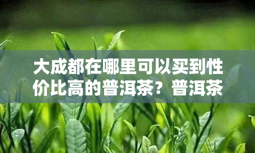 大成都在哪里可以买到性价比高的普洱茶？普洱茶专卖店、普洱茶店还是场？价格是多少呢？