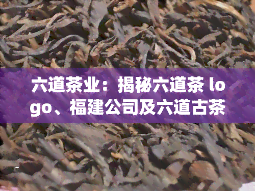 六道茶业：揭秘六道茶 logo、福建公司及六道古茶，欣六道茶民歌演唱视频