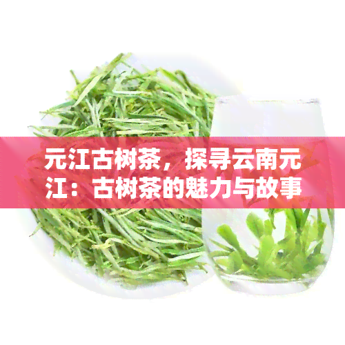 元江古树茶，探寻云南元江：古树茶的魅力与故事