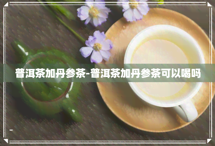 普洱茶加丹参茶-普洱茶加丹参茶可以喝吗