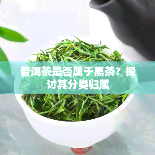 普洱茶是否属于黑茶？探讨其分类归属