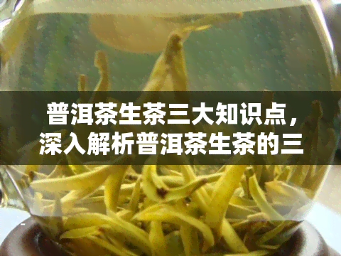 普洱茶生茶三大知识点，深入解析普洱茶生茶的三大关键知识