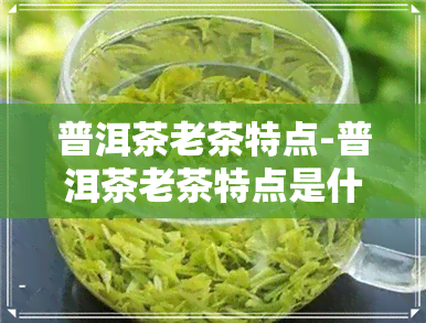 普洱茶老茶特点-普洱茶老茶特点是什么