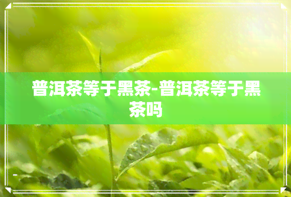 普洱茶等于黑茶-普洱茶等于黑茶吗