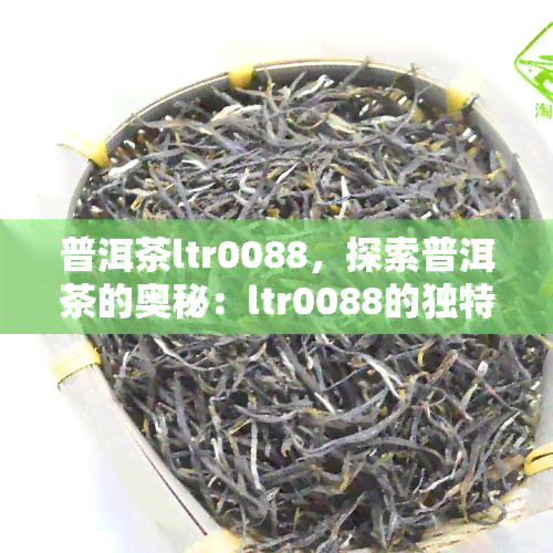 普洱茶ltr0088，探索普洱茶的奥秘：ltr0088的独特口感与历背景