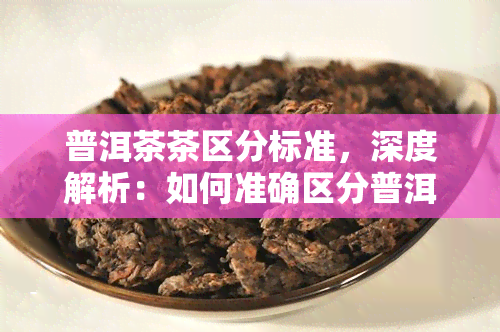 普洱茶茶区分标准，深度解析：如何准确区分普洱茶的茶与非茶？