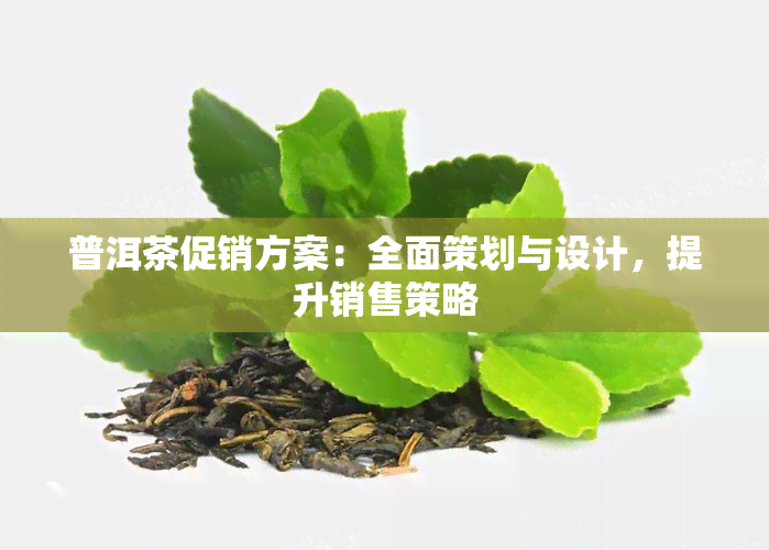 普洱茶促销方案：全面策划与设计，提升销售策略