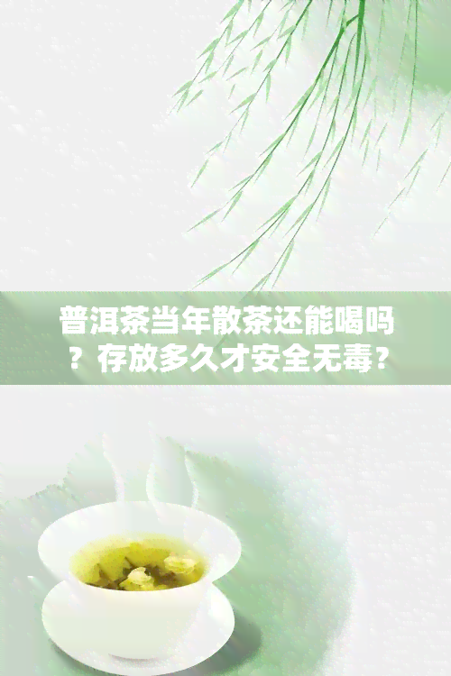 普洱茶当年散茶还能喝吗？存放多久才安全无？