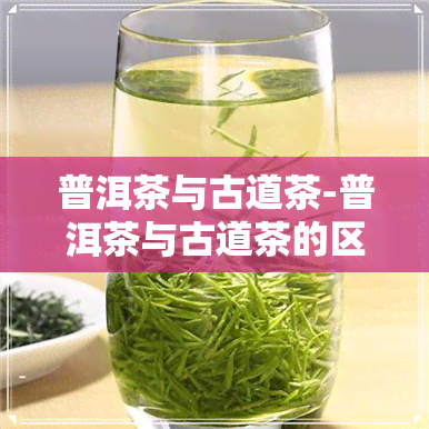 普洱茶与古道茶-普洱茶与古道茶的区别