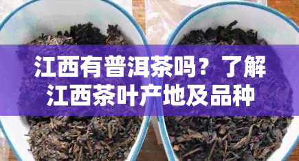 江西有普洱茶吗？了解江西茶叶产地及品种