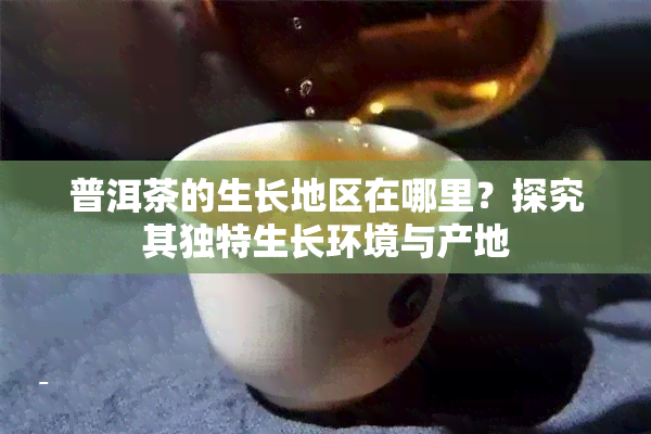 普洱茶的生长地区在哪里？探究其独特生长环境与产地