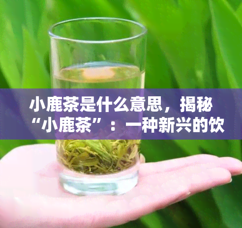 小鹿茶是什么意思，揭秘“小鹿茶”：一种新兴的饮品文化现象