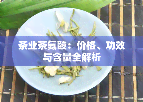 茶业茶氨酸：价格、功效与含量全解析