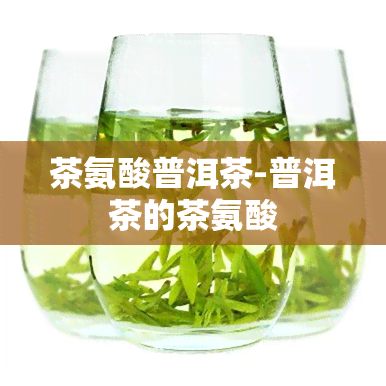 茶氨酸普洱茶-普洱茶的茶氨酸