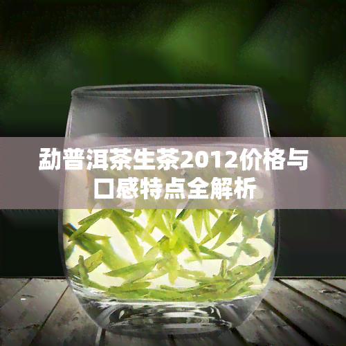 勐普洱茶生茶2012价格与口感特点全解析