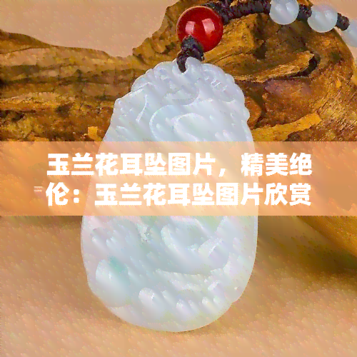 玉兰花耳坠图片，精美绝伦：玉兰花耳坠图片欣赏