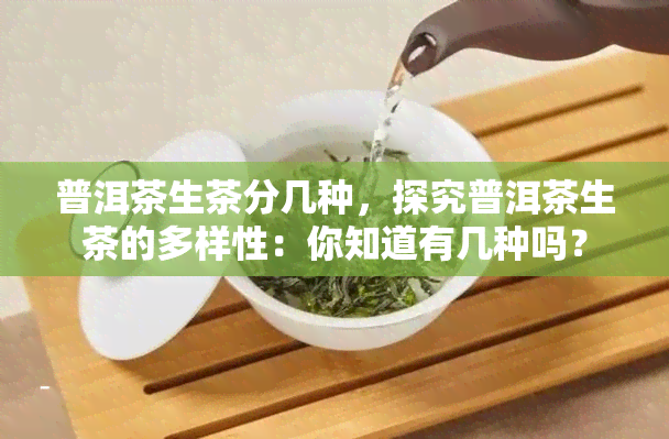 普洱茶生茶分几种，探究普洱茶生茶的多样性：你知道有几种吗？