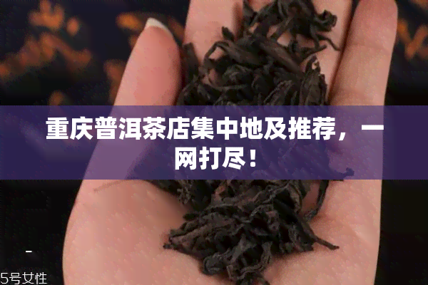 重庆普洱茶店集中地及推荐，一网打尽！