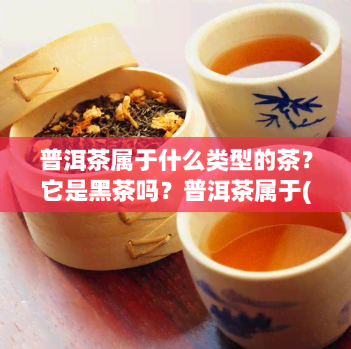 普洱茶属于什么类型的茶？它是黑茶吗？普洱茶属于()茶类。