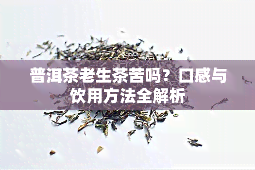 普洱茶老生茶苦吗？口感与饮用方法全解析