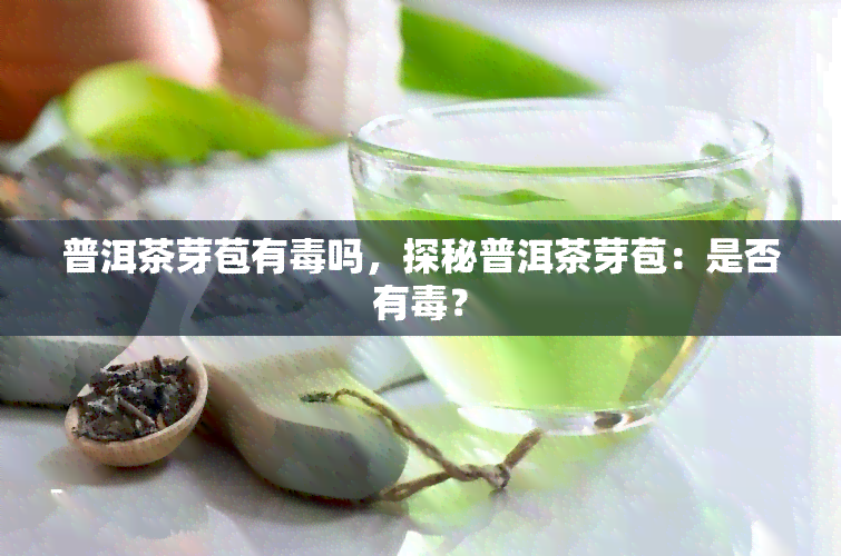 普洱茶芽苞有吗，探秘普洱茶芽苞：是否有？