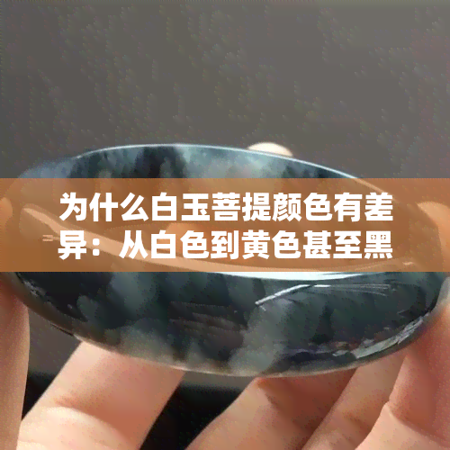 为什么白玉菩提颜色有差异：从白色到黄色甚至黑色？