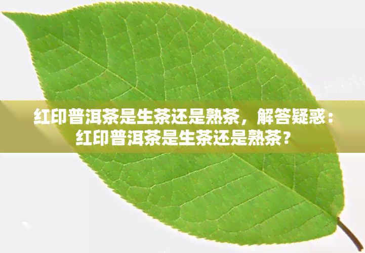 红印普洱茶是生茶还是熟茶，解答疑惑：红印普洱茶是生茶还是熟茶？