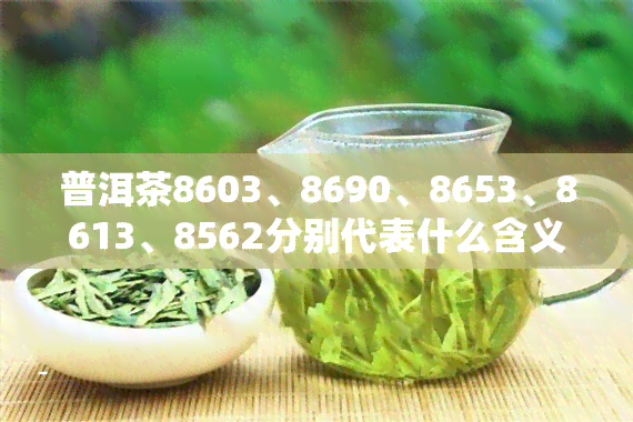 普洱茶8603、8690、8653、8613、8562分别代表什么含义？