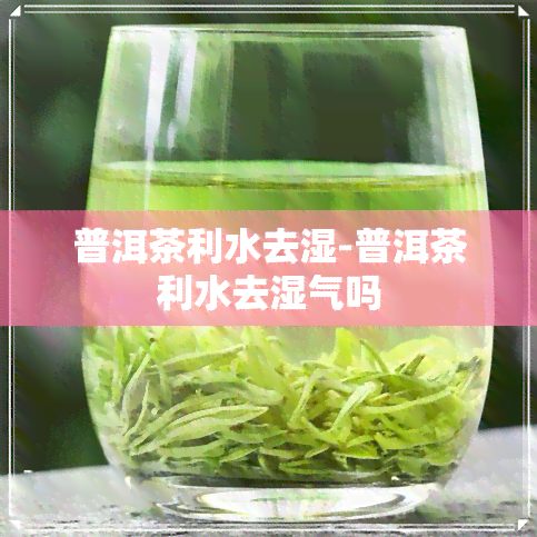 普洱茶利水去湿-普洱茶利水去湿气吗