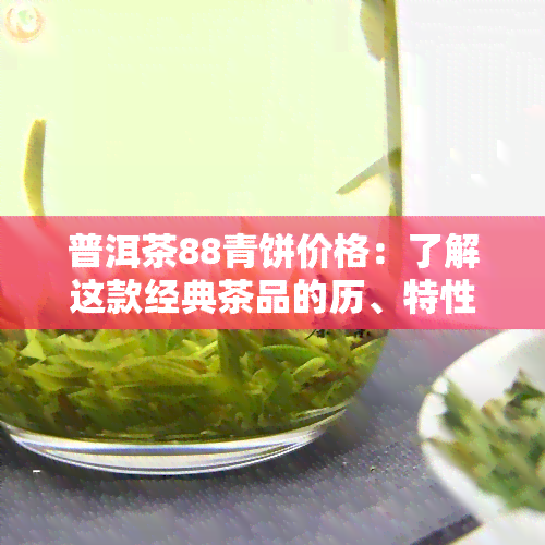 普洱茶88青饼价格：了解这款经典茶品的历、特性和市场价格