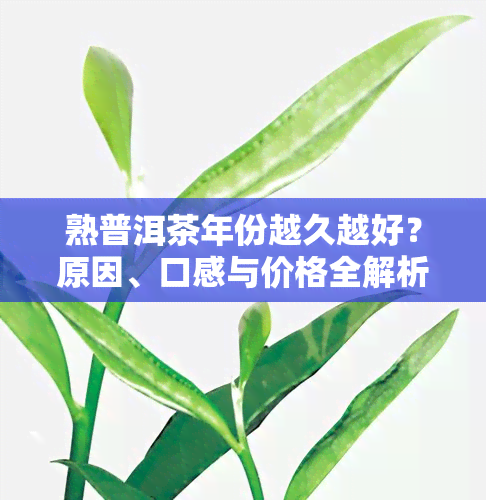 熟普洱茶年份越久越好？原因、口感与价格全解析