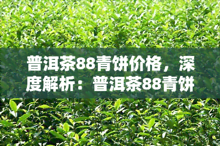 普洱茶88青饼价格，深度解析：普洱茶88青饼的市场价格及收藏价值