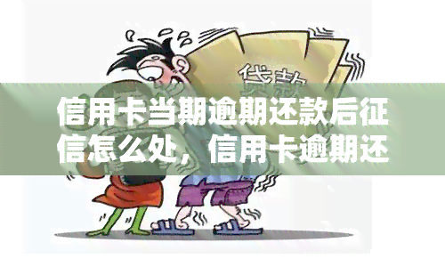 信用卡当期逾期还款后怎么处，信用卡逾期还款：如何处理问题？