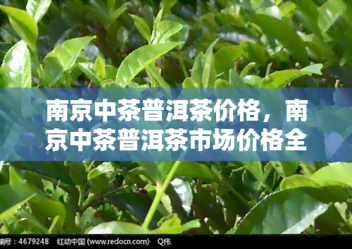 南京中茶普洱茶价格，南京中茶普洱茶市场价格全览