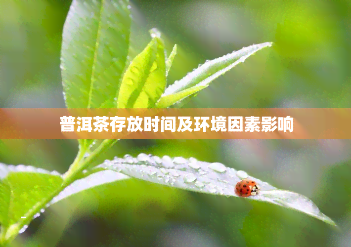 普洱茶存放时间及环境因素影响