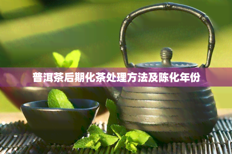 普洱茶后期化茶处理方法及陈化年份