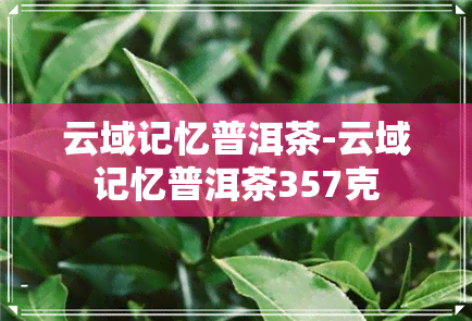 云域记忆普洱茶-云域记忆普洱茶357克