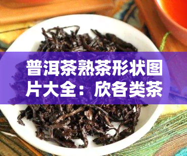 普洱茶熟茶形状图片大全：欣各类茶叶形状并了解市场价格