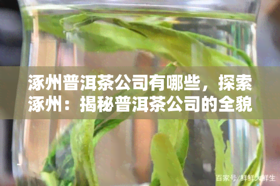 涿州普洱茶公司有哪些，探索涿州：揭秘普洱茶公司的全貌